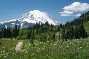 Mt Rainier in summer