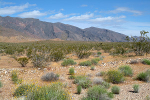 Nevada countryside_web